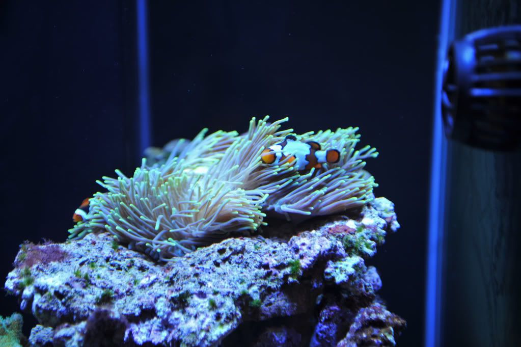 DSC_2277.jpg