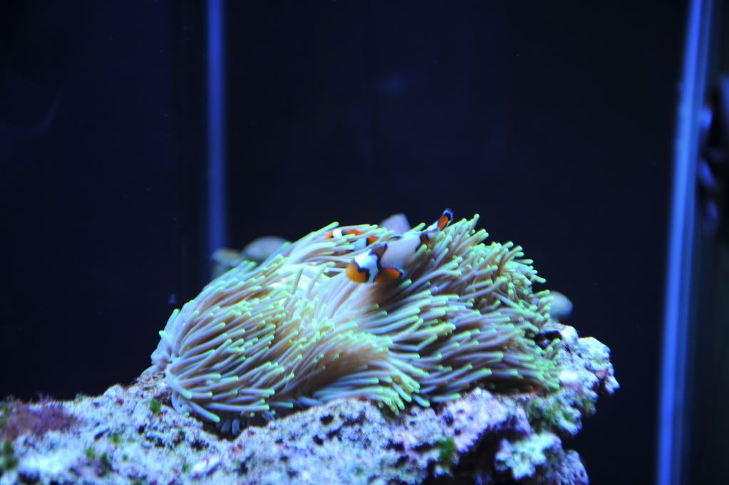 DSC_2279.jpg