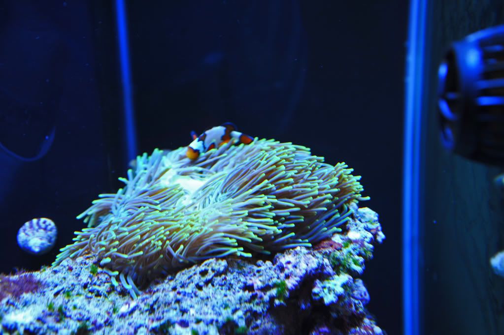 DSC_2284.jpg