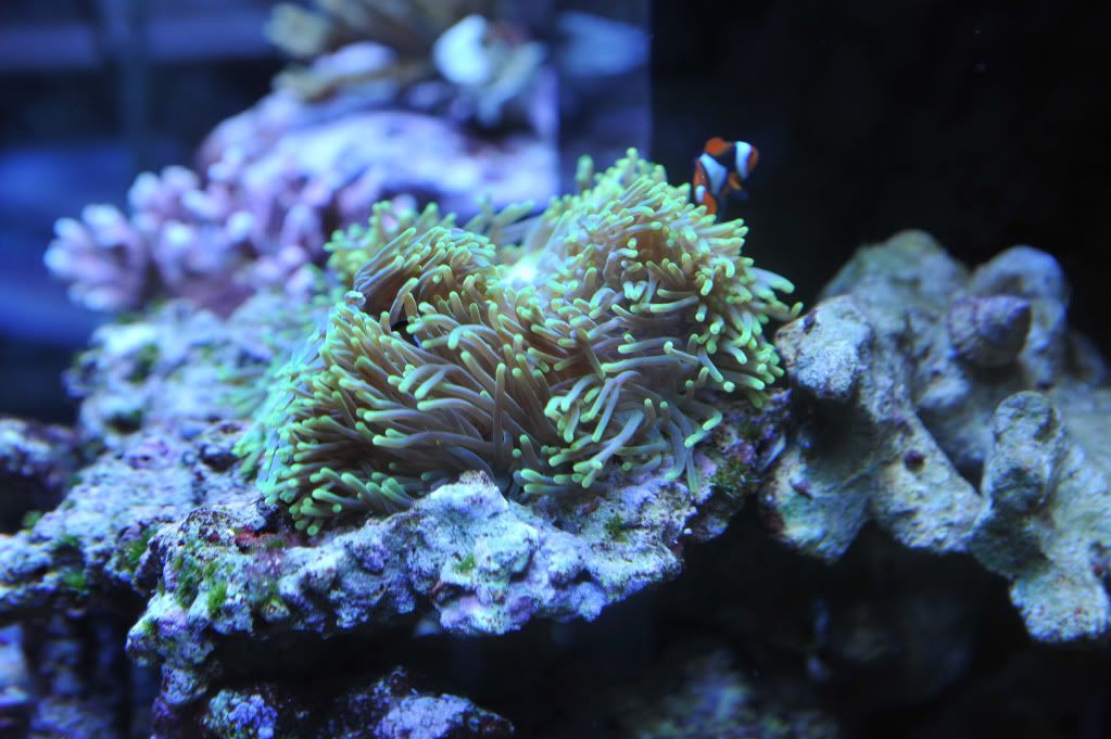 DSC_2288.jpg