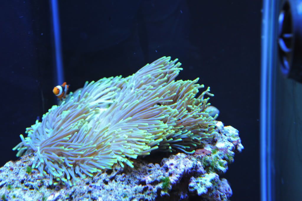 DSC_2291.jpg
