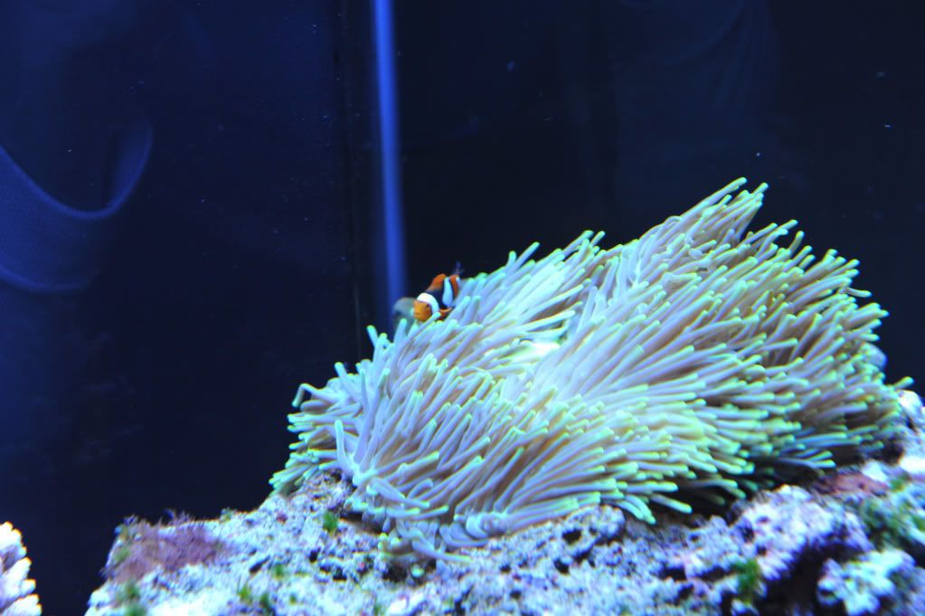 DSC_2292.jpg