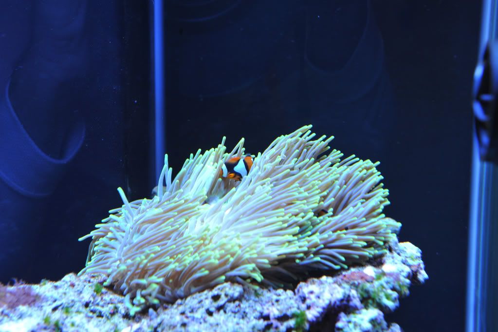 DSC_2294.jpg