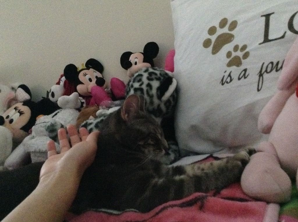 Forum Image: http://i930.photobucket.com/albums/ad143/ryuuchikiyu/image_39.jpeg