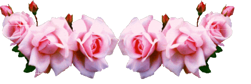 pink roses border Pictures, Images and Photos