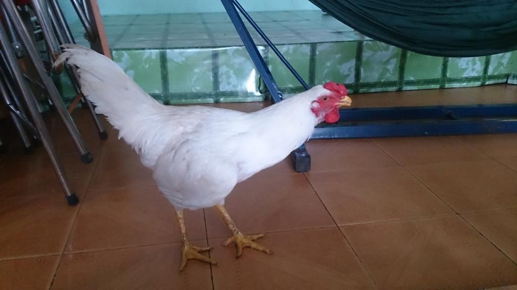 Nhờ mọi người chỉ giáo - 2