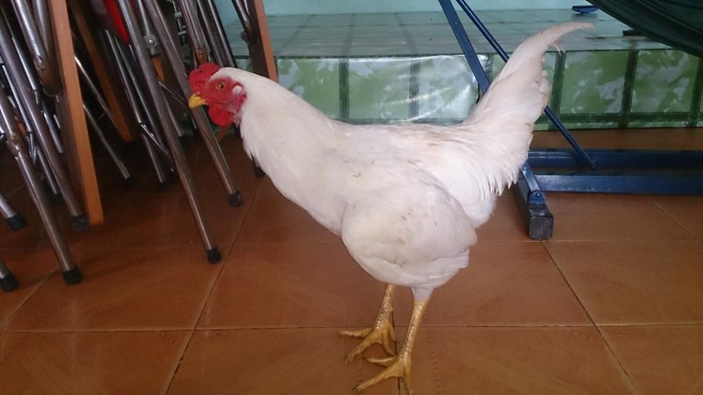 Nhờ mọi người chỉ giáo - 1