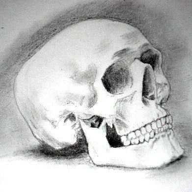 pencil drawings of a skull 8jpg Skull drawing