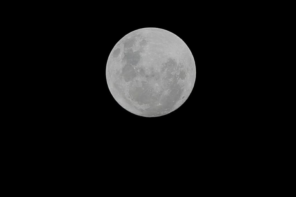 Moon31614.jpg