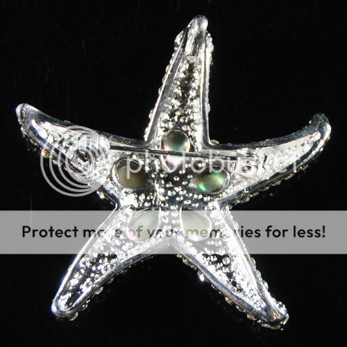 Y0163 Abalone shell star pin brooch pendant  